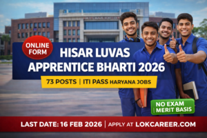 Hisar LUVAS Apprentice